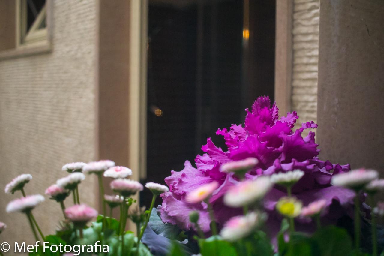 Miklu Luxury Suite Lecce Exterior foto